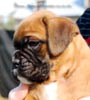 Tanyati B Litter