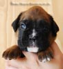 Tanyati B Litter