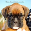 Tanyati B Litter