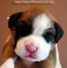 Tanyati B Litter