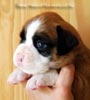 Tanyati B Litter