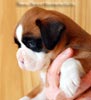 Tanyati B Litter
