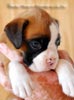 Tanyati B Litter