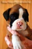 Tanyati B Litter