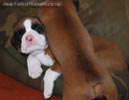 Tanyati B Litter