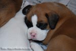 Tanyati B Litter