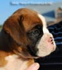 Tanyati B Litter
