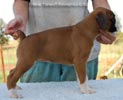 Tanyati B Litter