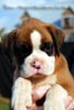 Tanyati B Litter