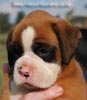 Tanyati B Litter