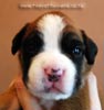 Tanyati B Litter