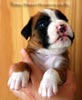 Tanyati B Litter