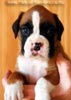 Tanyati B Litter