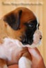 Tanyati B Litter
