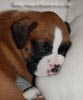 Tanyati B Litter