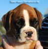 Tanyati B Litter