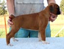 Tanyati B Litter