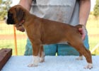 Tanyati B Litter