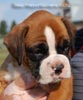 Tanyati B Litter