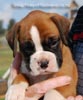 Tanyati B Litter
