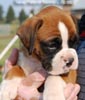 Tanyati B Litter