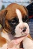 Tanyati B Litter