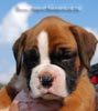Tanyati B Litter