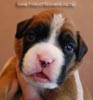 Tanyati B Litter