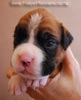 Tanyati B Litter