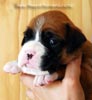 Tanyati B Litter