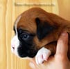 Tanyati B Litter