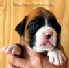 Tanyati B Litter
