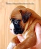 Tanyati B Litter