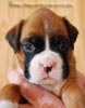 Tanyati B Litter