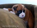 Tanyati B Litter