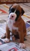 Tanyati B Litter