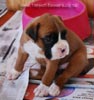 Tanyati B Litter
