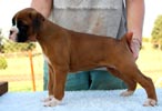 Tanyati B Litter