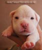 Tanyati B Litter
