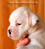 Tanyati B Litter