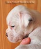 Tanyati B Litter