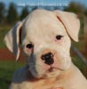 Tanyati B Litter