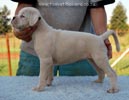 Tanyati B Litter