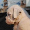 Tanyati B Litter