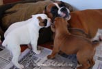 Tanyati B Litter