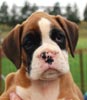 Tanyati B Litter