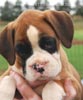Tanyati B Litter