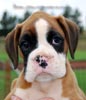 Tanyati B Litter