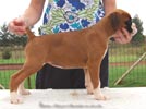 Tanyati B Litter