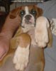 Tanyati B Litter